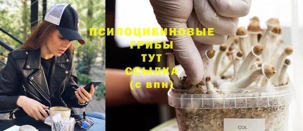 дурь Арсеньев