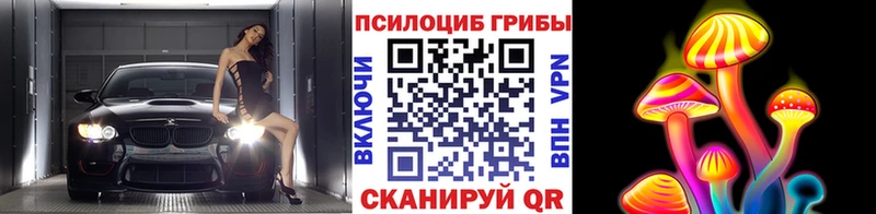 Псилоцибиновые грибы Psilocybine cubensis  дарнет шоп  Красноярск 
