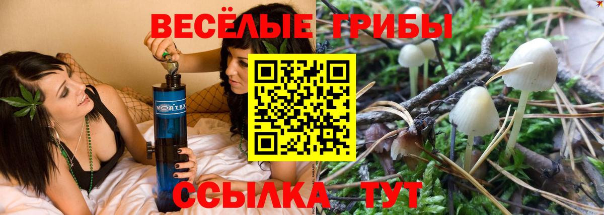 Галлюциногенные грибы GOLDEN TEACHER Красноярск