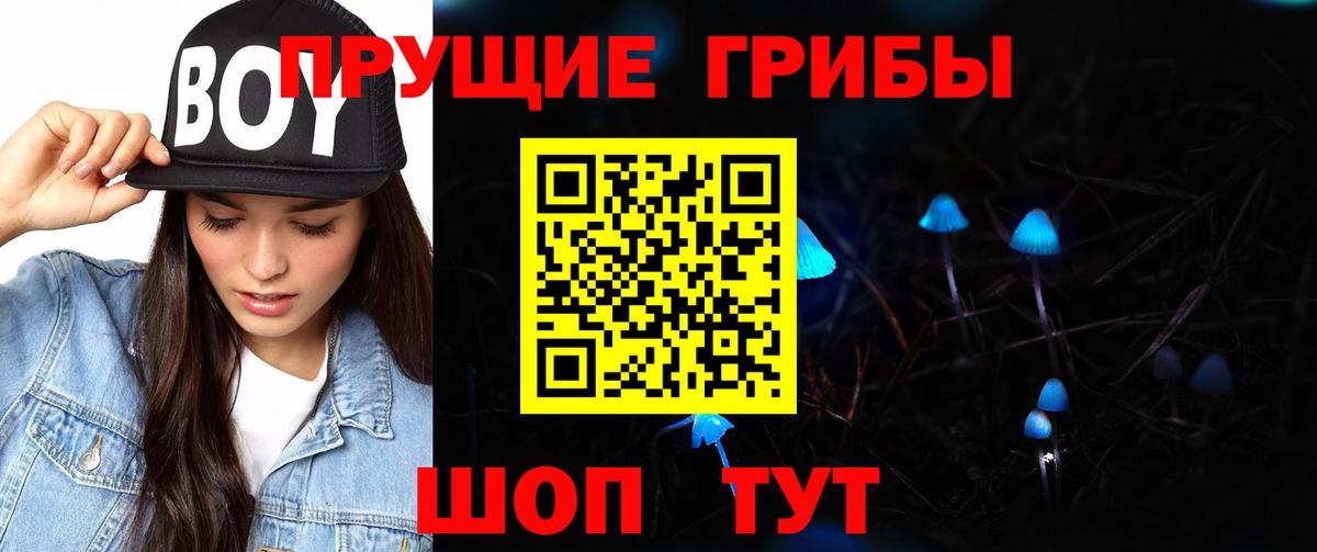 Красноярск  Псилоцибиновые грибы мицелий  Вход с VPN  Псилоцибиновые грибы мухоморы 